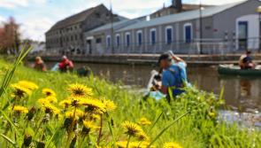 Volunteers sought for Spring clean in Offaly town this Saturday