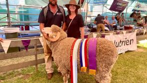 Offaly company enjoying huge success in Australia