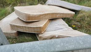 Name and shame brazen mattress dumpers urges Offaly councillor