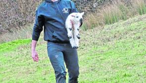 Embracing innovation into a new era of rural living