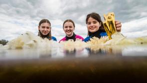 Offaly students encouraged to enter BT Young Scientist & Technology Exhibition 2022