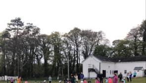 Offaly club sets up first-ever camogie club