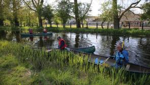 Offaly Tidy Towns group holds successful clean-up