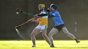 Offaly mix the old and the new for Meath opener
