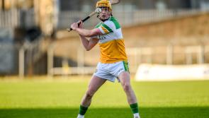 Promotion now a big target for Offaly hurlers after excellent start to league