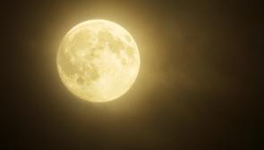 Something special in the night sky - stunning 'Flower Supermoon' will be visible tonight