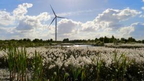 'Sell-out' and 'exaggeration' claims in bitter Offaly wind energy split