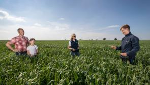 Glanbia Ireland seeks additional gluten-free oat growers