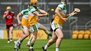 Vastly improved Offaly seal promotion in style