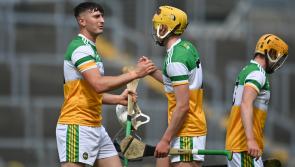 Offaly to use Wicklow game to experiment with promotion already assured