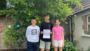 Billionaire  Larry Goodman shocks Offaly kids with big investment 