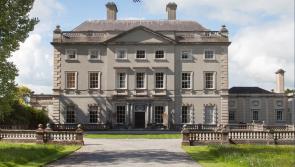 REVEALED: How much an Irish tech billionaire paid for 'second-hand' house in the Midlands