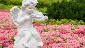 Angel garden for children who have died to be created in Offaly