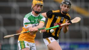 No joy for Offaly as Kilkenny too strong in minor final