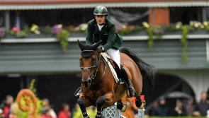 Offaly to have another Olympian in Tokyo 
