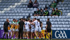Offaly's best comes up short against superior Kildare