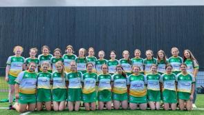 Brilliant Offaly through to All-Ireland final