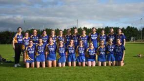 St Rynagh's pushed all the way by Shinrone