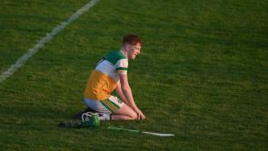 Gallant Offaly bow out fighting and with pride intact