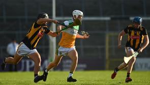 Competitive Offaly were in the hunt until closing minutes as Kilkenny march on