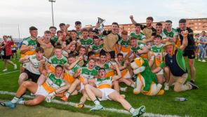 Heroic Offaly return to the promised land at last