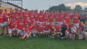 Edenderry the masters as  hurling crown captured