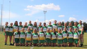 Offaly snatch memorable win against neighbours after incredible battle