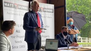 Seven-acre plot of Offaly land sparks bidding war before selling for big price