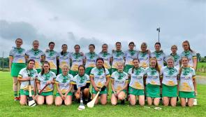 Relieved Offaly retain senior status