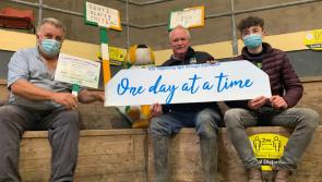 Offaly man brings mental health campaign to Tullamore mart