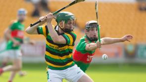 Offaly senior hurling teams profiled as championship gets underway this weekend