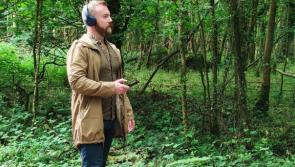 Unusual sonic artwork hits Offaly beauty spots 