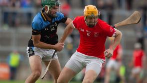 Lusmagh and Tullamore set early pace in Offally Senior B Hurling Championship