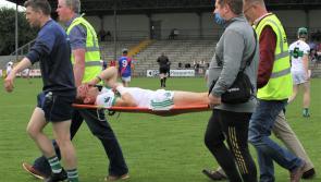 PREVIEW: Big guns to get mettle tested in Offaly Senior Hurling Championship