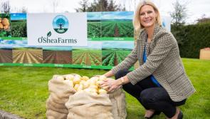 Grow more spuds for chippers says Offaly minister  
