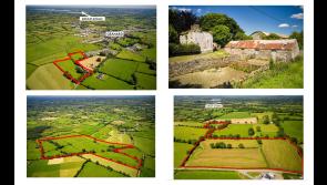 Midlands farm fetches over €1 million in online auction 