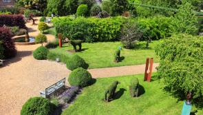 Could Offaly get a new sensory garden through new €1m fund?
