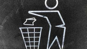 Tullamore performs well Irish business against litter survey
