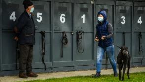 Another great week for Offay greyhounds, trainers and owners 