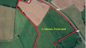 32 acres of Offaly farmland fetches huge sum at auction 