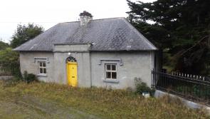 Charming Offaly lodge could go for a steal at auction 