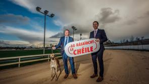 'Perfect 10' - Offaly greyhounds impress in bumper week for winners