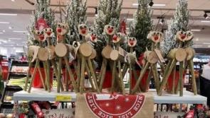 Offaly teenager's hugely popular Christmas reindeer now stocked in major supermarket chain