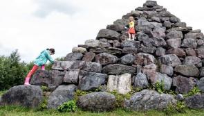 Tour of Offaly's Lough Boora Park for Science Week