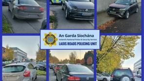 Gardai issue host of parking tickets to fans at County Final in the Midlands