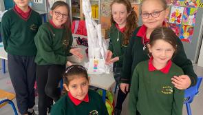 Busy Science Week at Offaly school