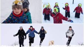 CHRISTMAS REWIND: Your Offaly snow day snaps from Storm Emma in 2018 