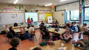 A spooky French connection made with a north Offaly school 