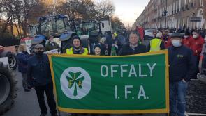 Offaly farmers attend Dublin 'Save Irish Farming' rally