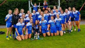 Tullamore bow out in spirited display against Dublin champions 